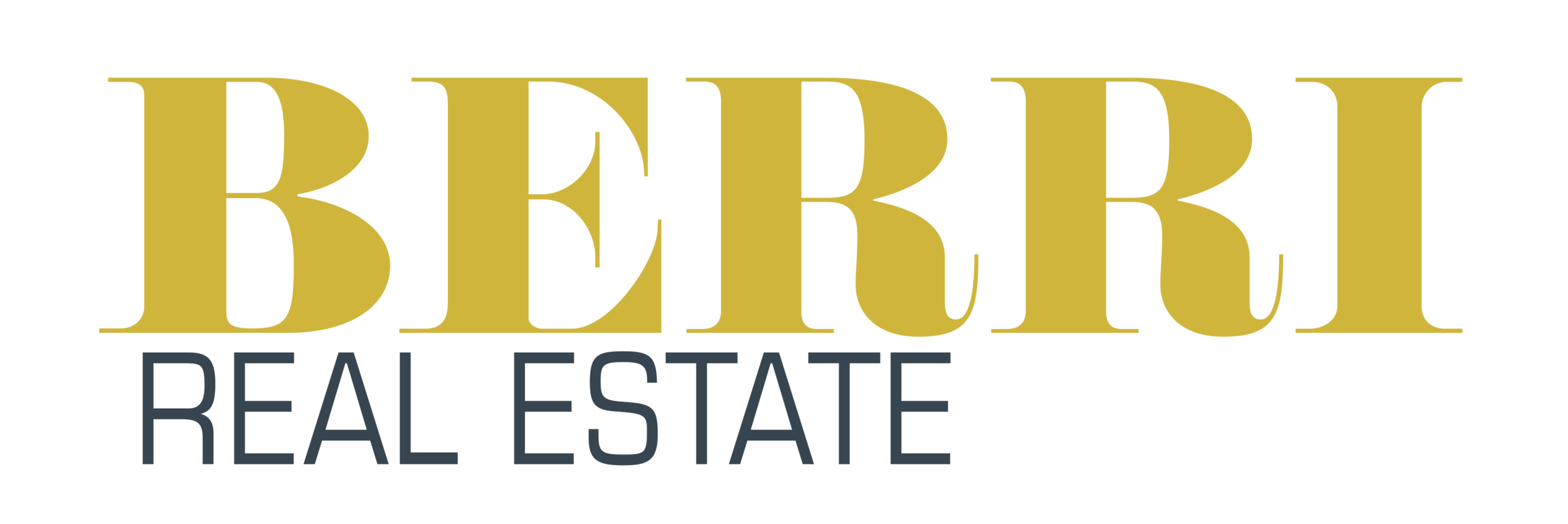 Berri RE logo 1.png